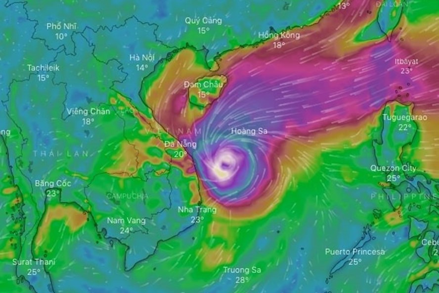 Khẩn trương tổ chức ứng phó bão RAI: Cấm tất cả các phương tiện, tàu, thuyền ra biển hoạt động
