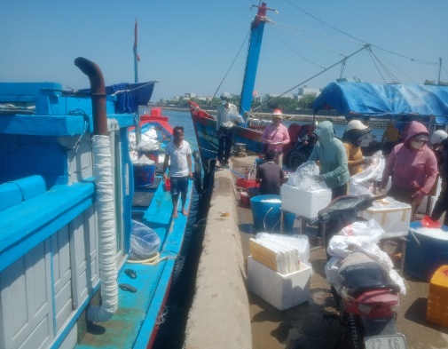 Triển khai Phương án quản lý, khai thác và thu giá sử dụng dịch vụ cảng cá tại cảng Lý Sơn.